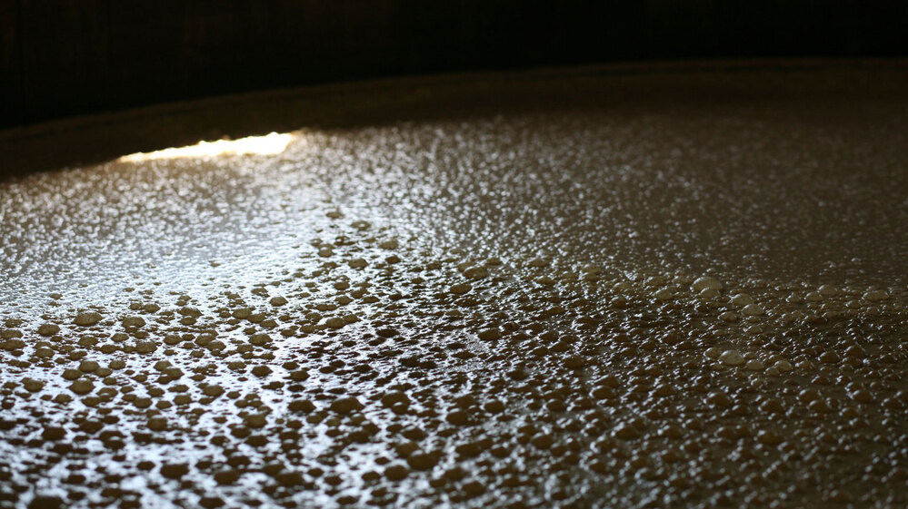 A vat full of rye mash at the Woodford Reserve bubbles with carbon dioxide during fermentation.