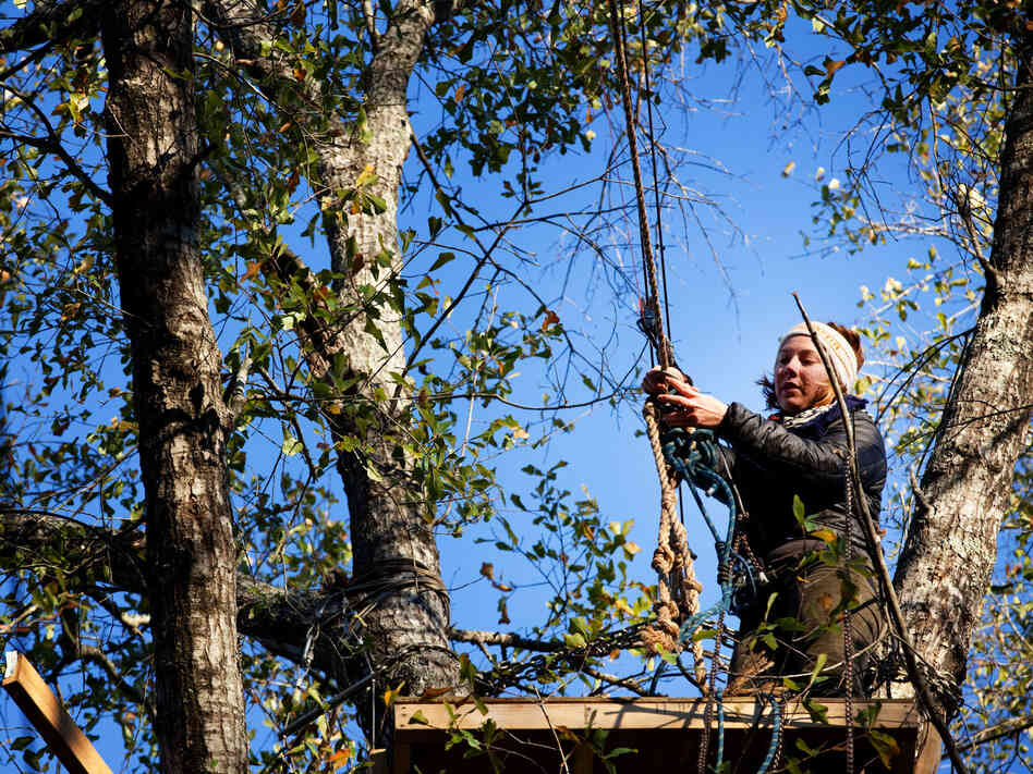 Grace Cagle, a protester with the Tar Sands Blockade, has spent a total of 17 days up in the trees. Grace Cagle, a protester with the Tar Sands Blockade, has spent a total of 17 days up in the trees.