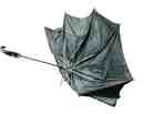 Umbrella by Will Self.