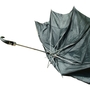 Umbrella by Will Self.