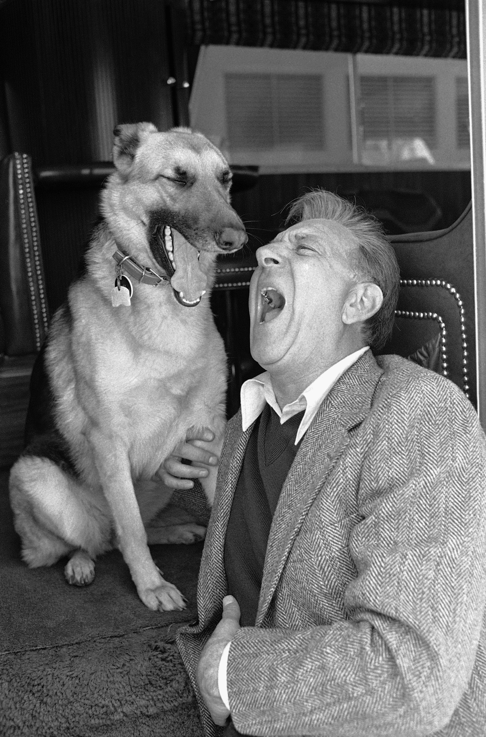 Actor Jack Klugman, star of the television series "Quincy" and "The Odd Couple" and his dog, Angel, yawn together during an interview, on March 26, 1980, in Los Angeles. Actor Jack Klugman, star of the television series "Quincy" and "The Odd Couple" and his dog, Angel, yawn together during an interview, on March 26, 1980, in Los Angeles.