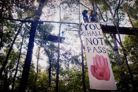 The Tar Sands Blockade protesters hang banners from a 100-foot-long catwalk. There are a total of seven structures suspended in the canopy of the trees with more than 500 feet of wire connecting them.
