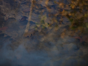 The stream that runs through Daniel's property is now cloudy and murky. The stream that runs through Daniel's property is now cloudy and murky.