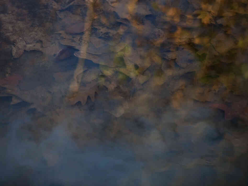 The stream that runs through Daniel's property is now cloudy and murky. The stream that runs through Daniel's property is now cloudy and murky.