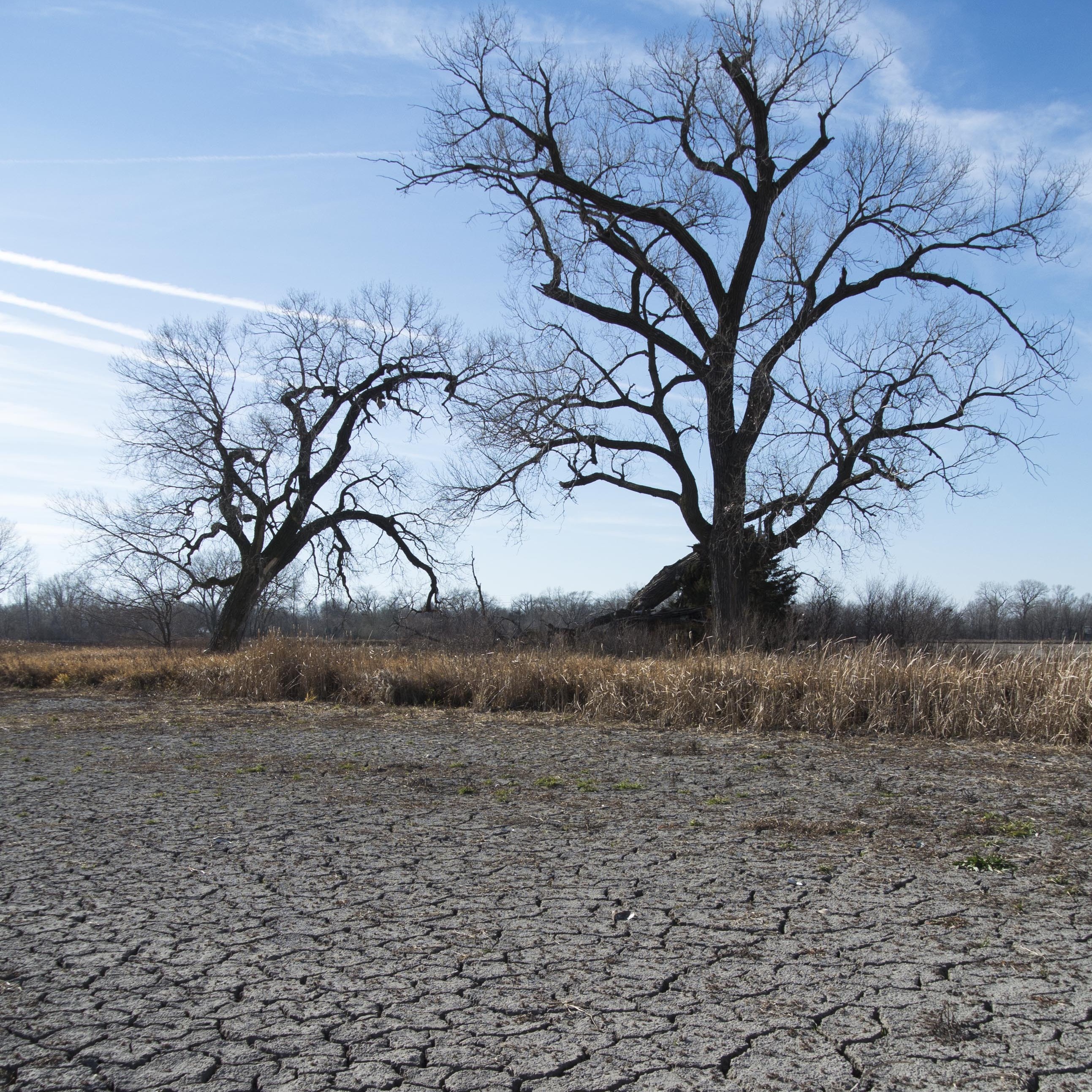 Cracks form in the bed of a dried lake, the outcome of drought in Waterloo, Neb. Polls show 2012's extreme weather has more people making a connection to climate change.