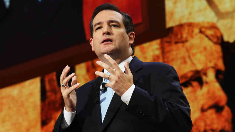 Incoming Texas Sen. Ted Cruz, who spoke during the Republican National Convention this summer in Tampa, Fla., is among a number of minority politicians seen as rising stars in the GOP.