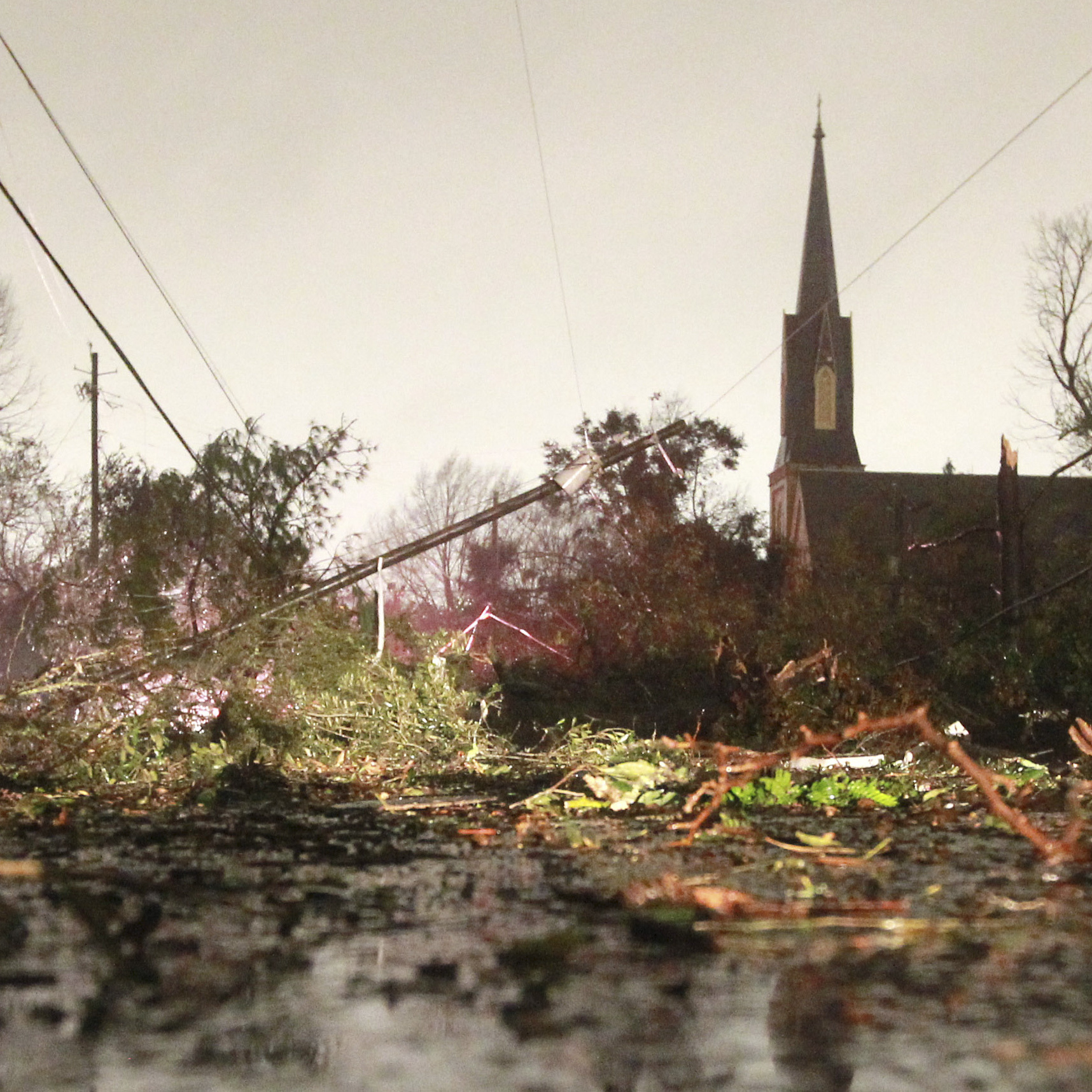 After the storm in Mobile:  Downed trees and power lines on Christmas Day.
