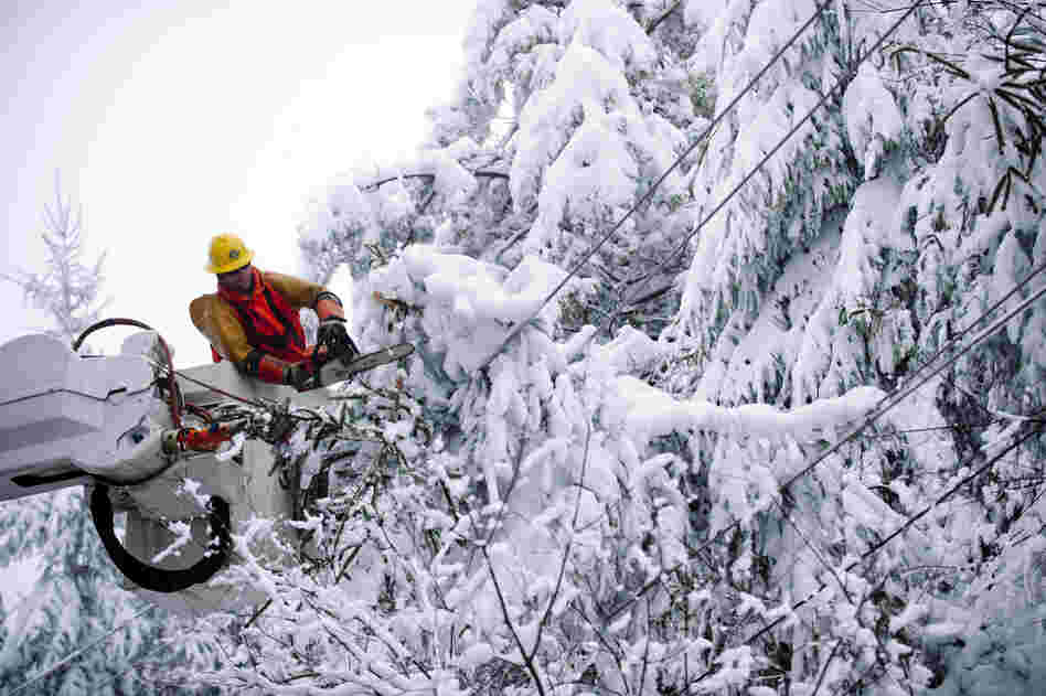 Rob Kohler, an electrical-line worker, clears snow-laden power lines on Oct. 31 in Terra Alta, W.Va. Hurricane Sandy mixed with colder temperatures in higher elevations and dumped as much as 3 feet of snow in some places.