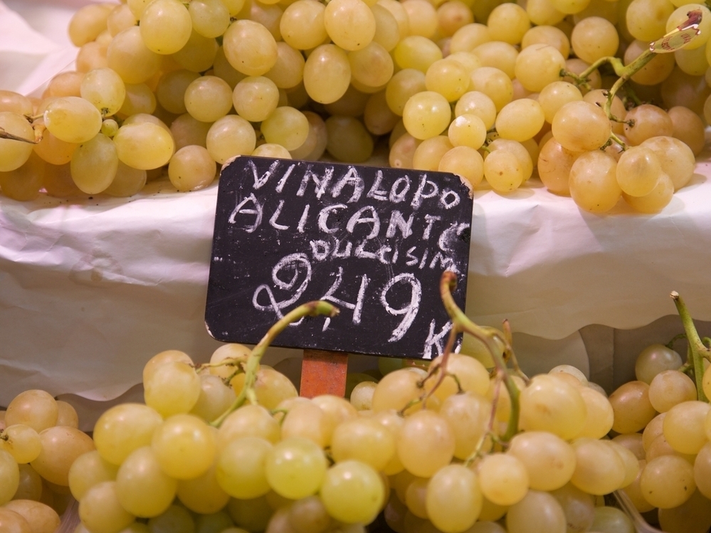 The traditional variety of grape consumed at the start of the new year is called Aledo. The grapes mature late are not harvested until November and December. The traditional variety of grape consumed at the start of the new year is called Aledo. The grapes mature late are not harvested until November and December.