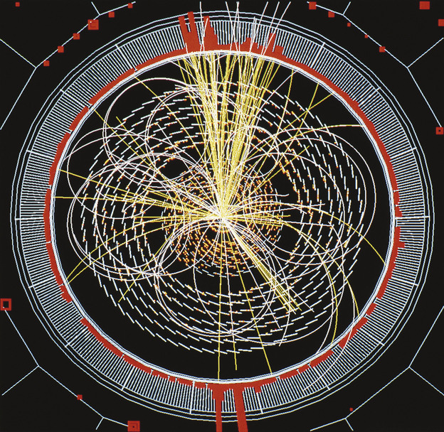 Scientists at the Large Hadron Collider announced the discovery of the Higgs boson on July 4, the long-sought building block of the universe. This image shows a computer-simulation of data from the collider.