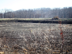 Osage Catfisheries drained this catfish pond to make room for another, potentially more lucrative species, such as paddlefish or bass.