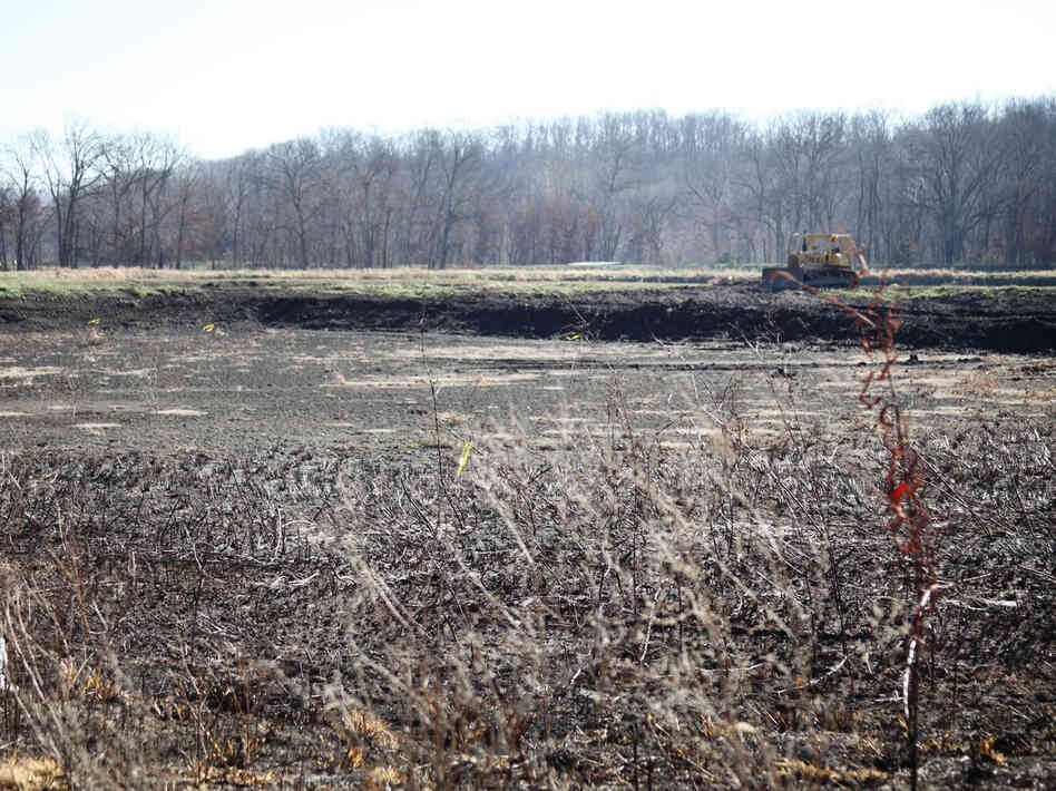 Osage Catfisheries drained this catfish pond to make room for another, potentially more lucrative species, such as paddlefish or bass. Osage Catfisheries drained this catfish pond to make room for another, potentially more lucrative species, such as paddlefish or bass.