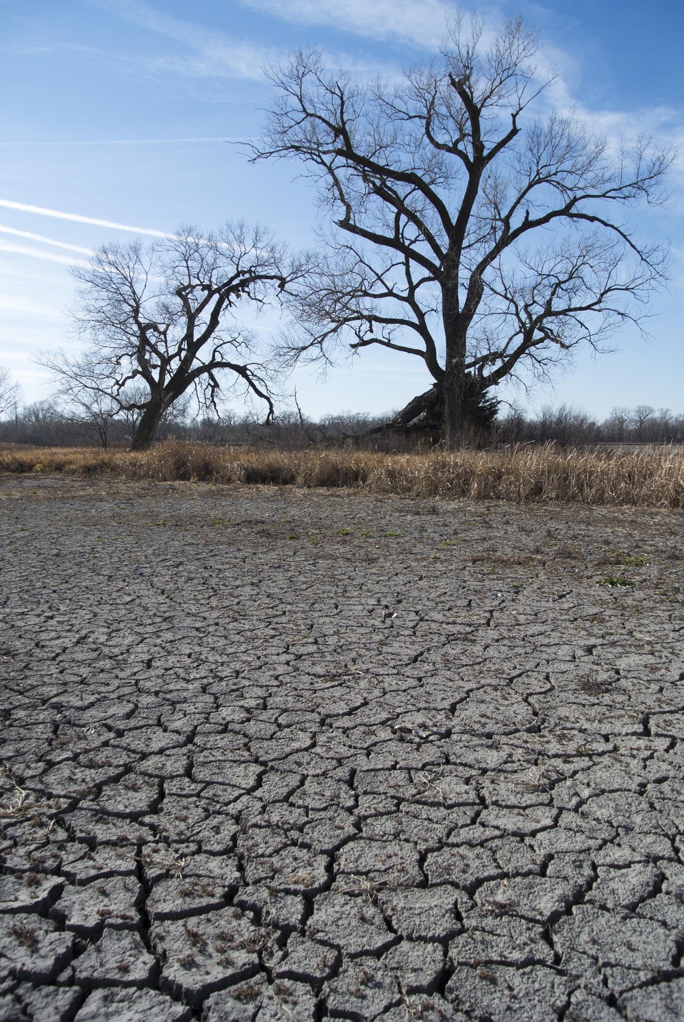 Cracks form in the bed of a dried lake in Waterloo, Neb. The drought withered crops and dried out lakes across the nation's midsection in 2012. Cracks form in the bed of a dried lake in Waterloo, Neb. The drought withered crops and dried out lakes across the nation's midsection in 2012.