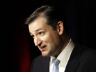 Sen.-elect Ted Cruz of Texas answers a question from a television reporter on Nov. 6 in Houston. Sen.-elect Ted Cruz of Texas answers a question from a television reporter on Nov. 6 in Houston.