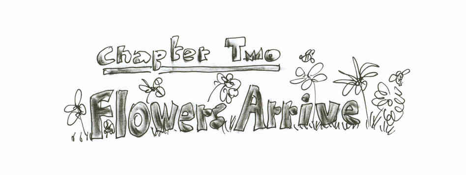 Chapter Two: Flowers Arrive Chapter Two: Flowers Arrive