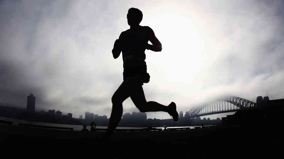 One of the year's most popular posts examined the evolutionary pull of running and high-aerobic activities on our brains. Above, a man runs past the Sydney Harbour Bridge in April. One of the year's most popular posts examined the evolutionary pull of running and high-aerobic activities on our brains. Above, a man runs past the Sydney Harbour Bridge in April.