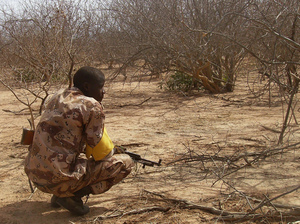 A Malian troop member checks bushes after a military raid in the Wagoudou forest.