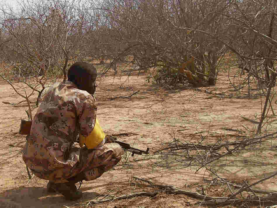 A Malian troop member checks bushes after a military raid in the Wagoudou forest.