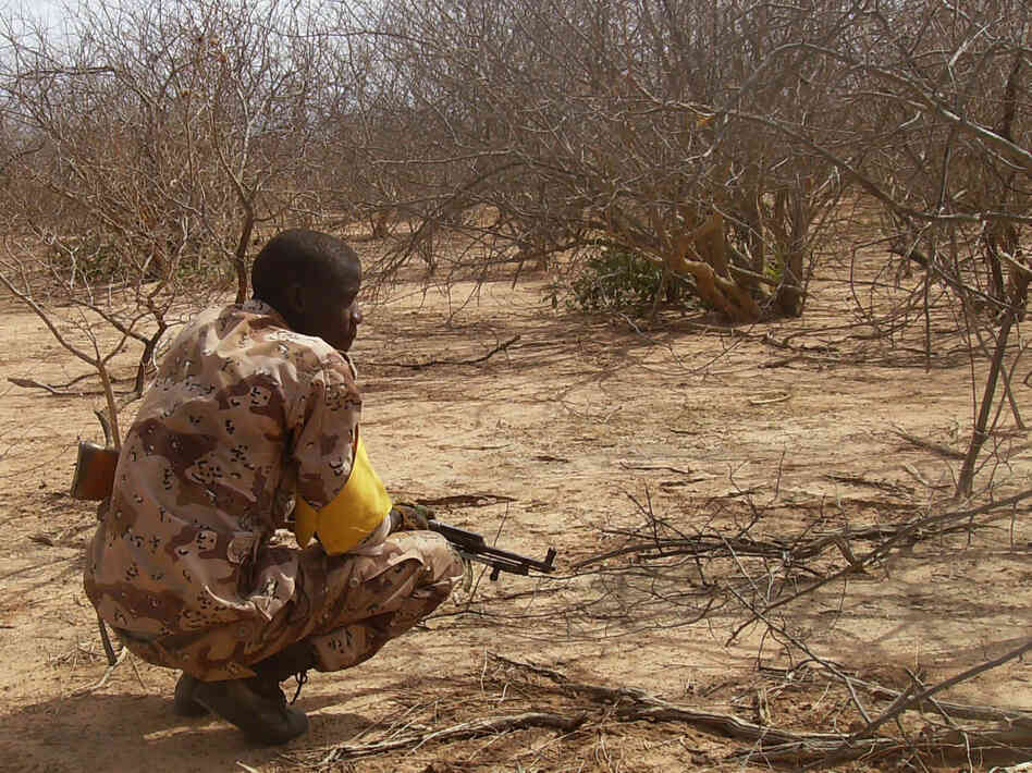 A Malian troop member checks bushes after a military raid in the Wagoudou forest.