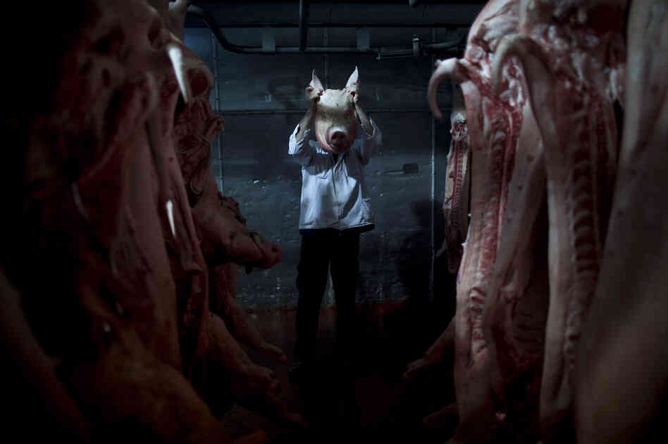 An employee of the Mizra pork factory poses with a pig's head in a refrigerated warehouse in Kibbutz Mizra, northern Israel. The million-strong Soviet immigrant community has increased customer demand for pork in the country, a nonkosher food rarely eaten by Israeli Jews.