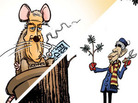 Cartoon Standard Promo Cartoon Standard Promo