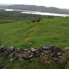 ThistleRadio is a 24/7 channel devoted to Celtic roots music. ThistleRadio is a 24/7 channel devoted to Celtic roots music.