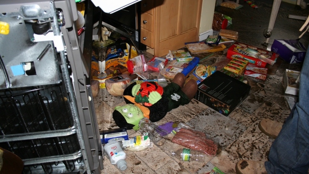 The day after their neighborhood was flooded, the Hardys returned to their house to start bagging up the garbage. The contents of the fridge were spread all over the kitchen floor and even outside. There were sausages in the street. The kitchen floor was a mess of muddy puddles.