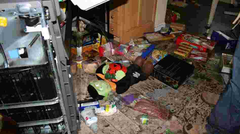 The day after their neighborhood was flooded, the Hardys returned to their house to start bagging up the garbage. The contents of the fridge were spread all over the kitchen floor and even outside. There were sausages in the street. The kitchen floor was a mess of muddy puddles.