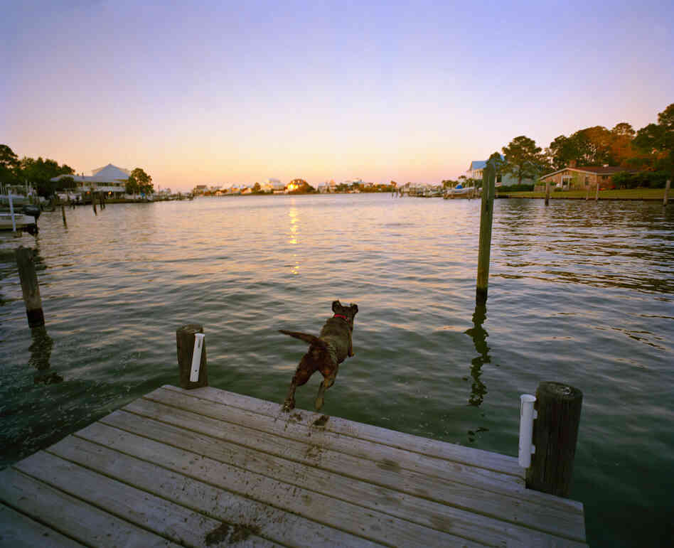 Star and Marty Singleton's pier, Dauphin Island.