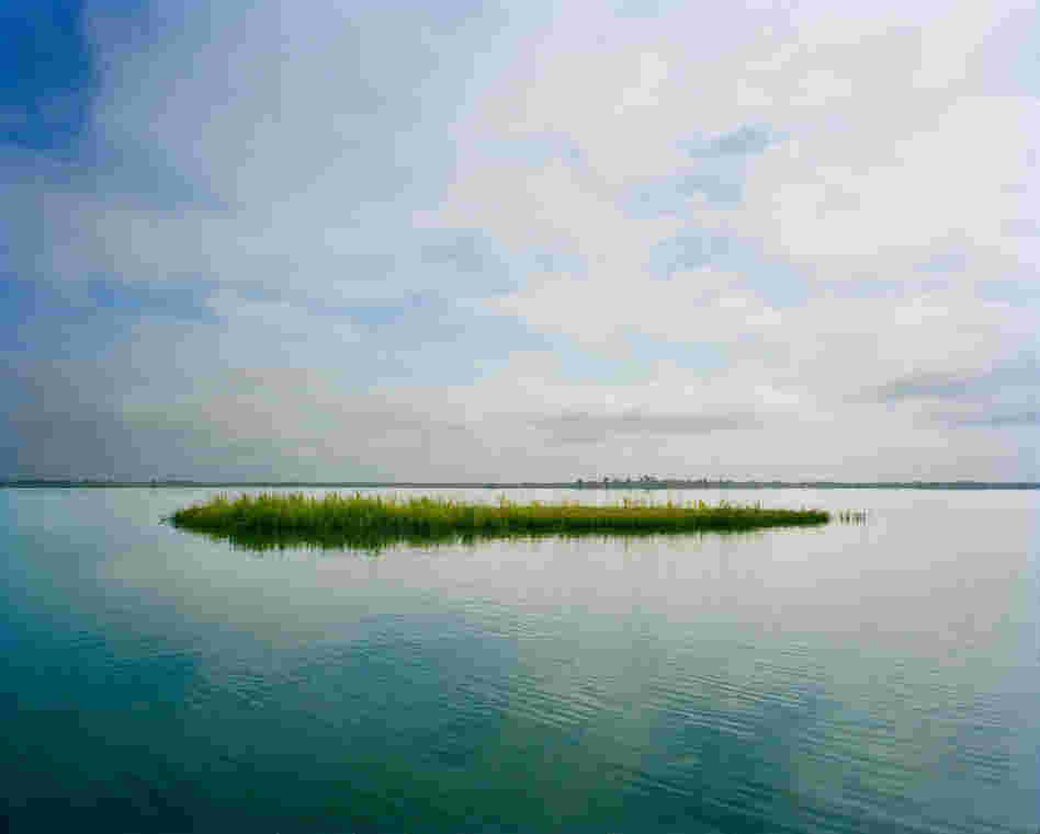 Lewis Island, Chuckfee Bay, Mobile Delta.