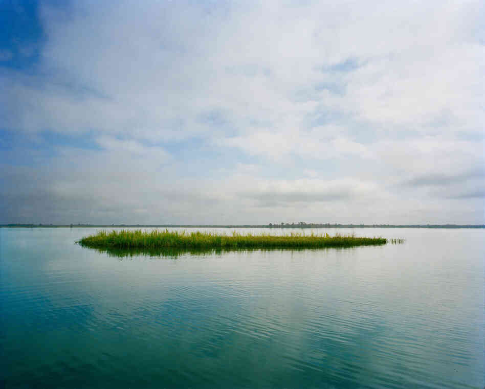 Lewis Island, Chuckfee Bay, Mobile Delta.