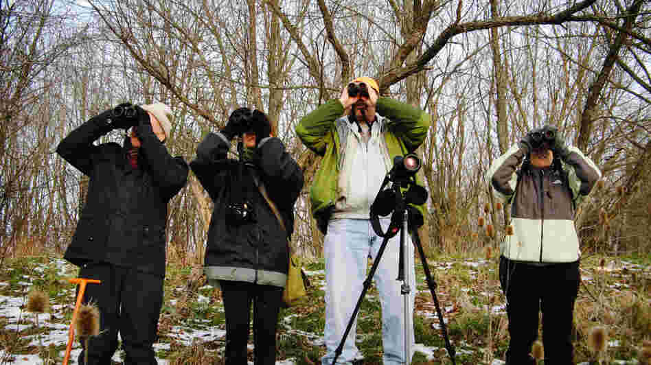 From left, bird-watchers John Williamson, Donna Quinn, Bruce Hill and Frances Raskin try to spot as many different species as possible during this season's bird count in Loudoun County, Va.