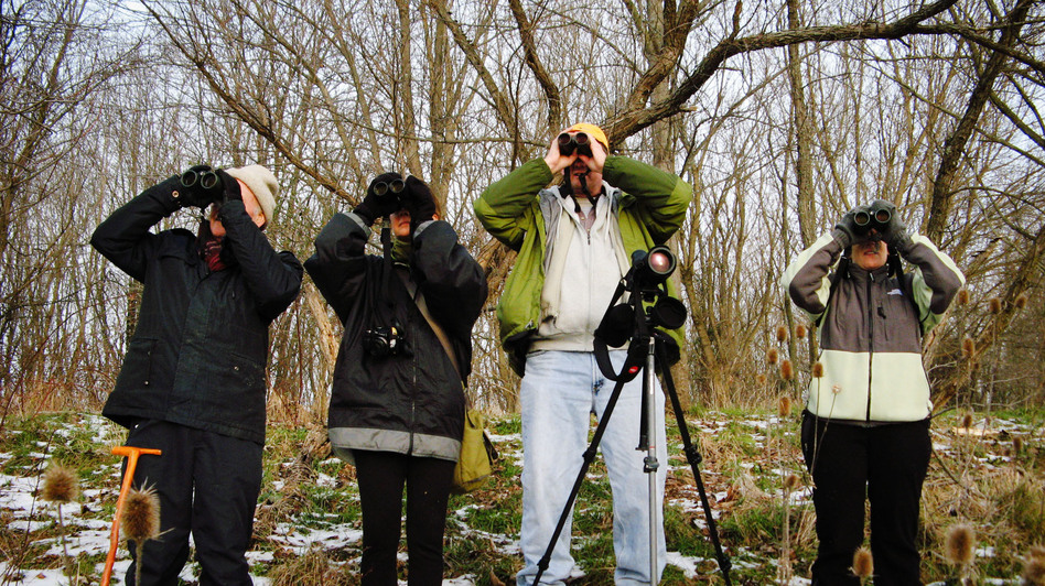 From left, bird-watchers John Williamson, Donna Quinn, Bruce Hill and Frances Raskin try to spot as many different species as possible during this season's bird count in Loudoun County, Va.