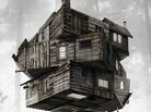 The cover of The Cabin In The Woods The cover of The Cabin In The Woods