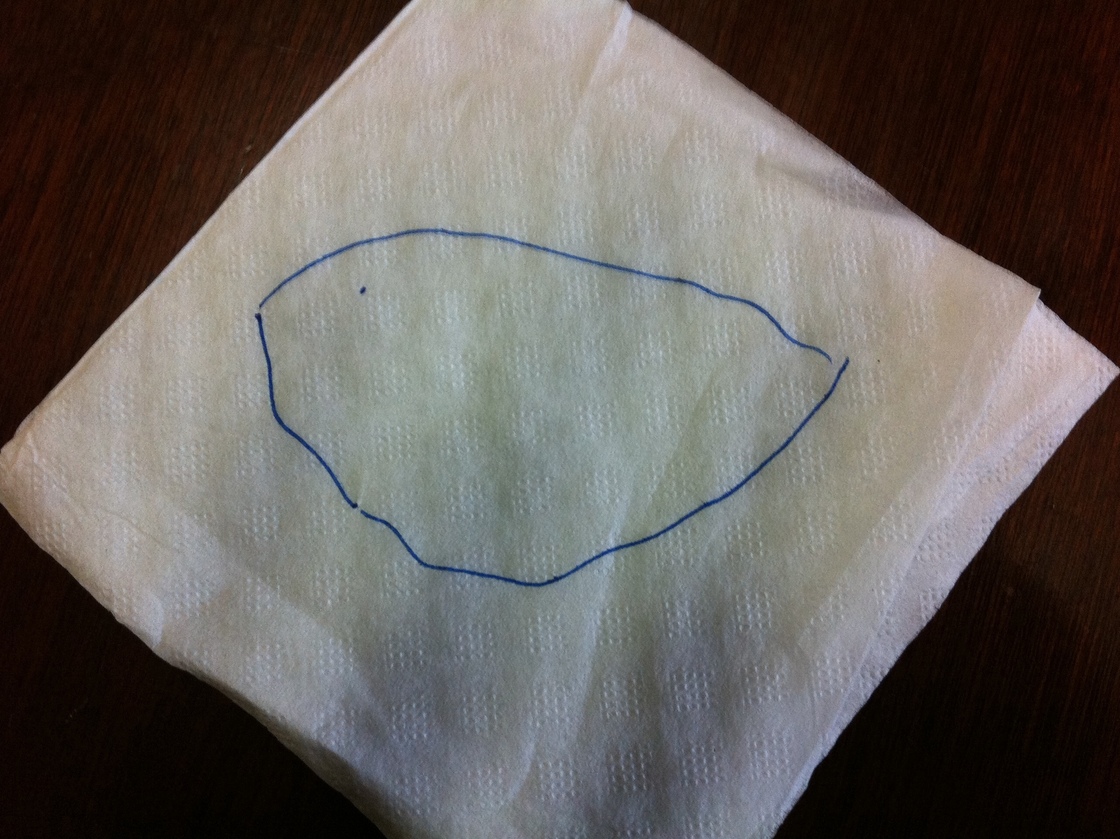 This napkin drawing shows a map of Honduras. The dot is where a brand new city would be built, free of the country's ills.