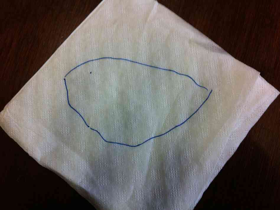 This napkin drawing shows a map of Honduras. The dot is where a brand new city would be built, free of the country's ills.