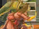 cover detail