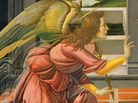 cover detail cover detail