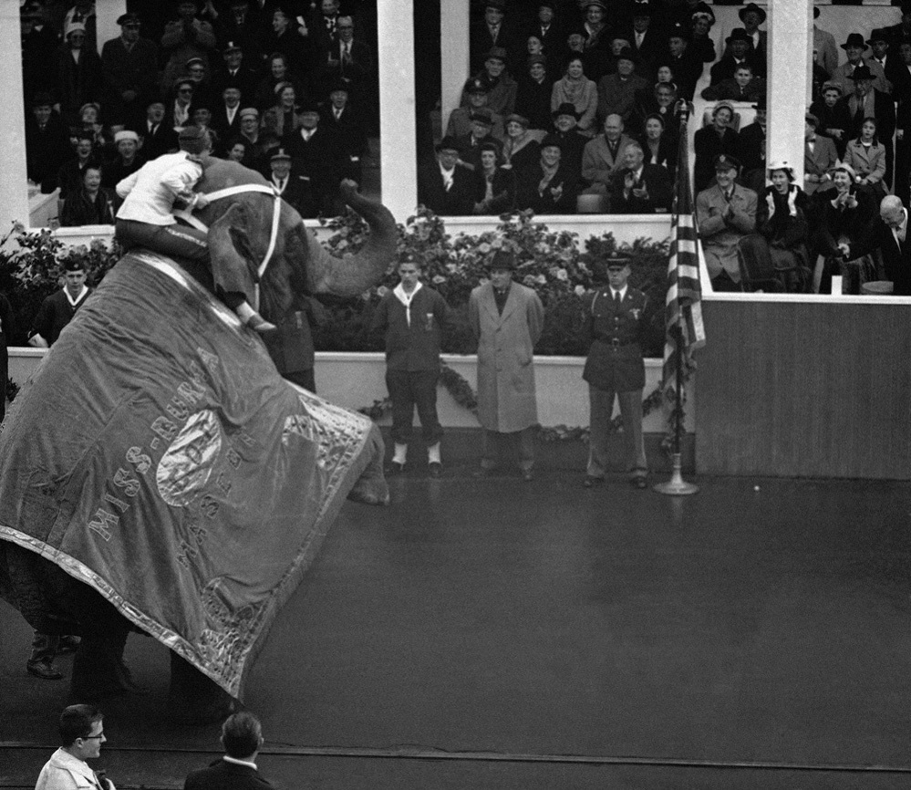 President Eisenhower (far right) "doffed his homburg and bowed" to Miss Burma, the Republican elephant mascot from Ohio. President Eisenhower (far right) "doffed his homburg and bowed" to Miss Burma, the Republican elephant mascot from Ohio.