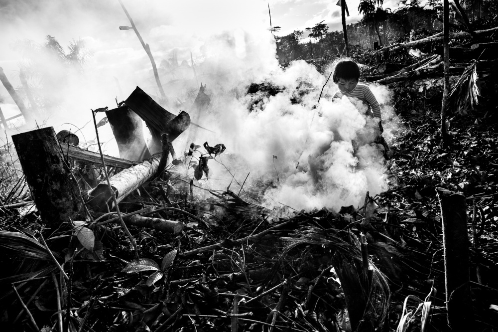As his parents clear trees in the jungle so they can build a new home, a child plays in the smoke of burning brush and trees. In addition to the deforestation taking place from the actual gold mining process, migrant mining families who want to settle in the region and live outside of camps are also clearing swaths of the jungle as they establish new communities.