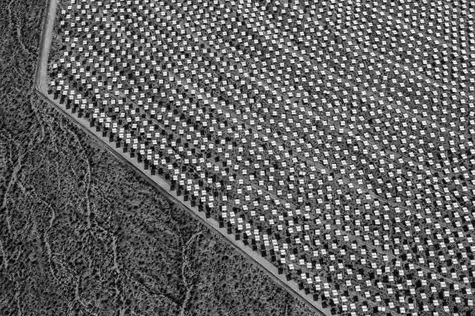The heliostats in Solar Field One run up against an undisturbed desert terrain. June 2012.