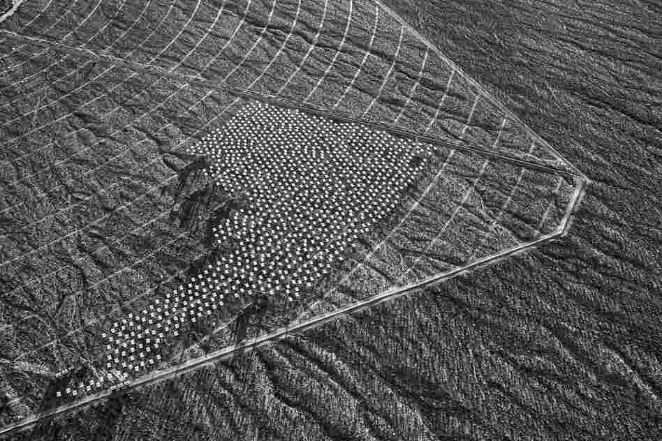 Heliostats in Solar Field One and active installation crews. January 2012.