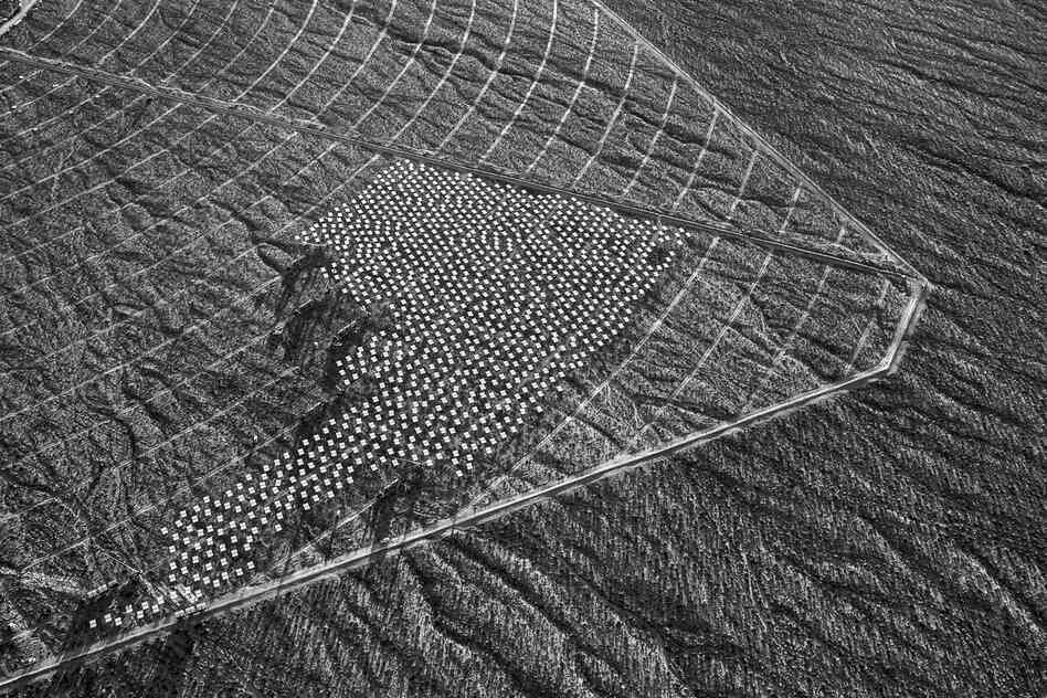 Heliostats in Solar Field One and active installation crews. January 2012.