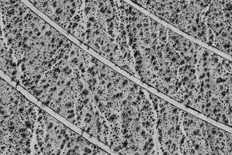 Concentric circles of service roads in Solar Field Three. June 2012.