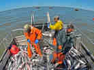 Being a fisherman was the deadliest job in 2011.