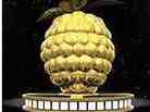 The Razzie Awards The Razzie Awards