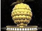 The Razzie Awards The Razzie Awards