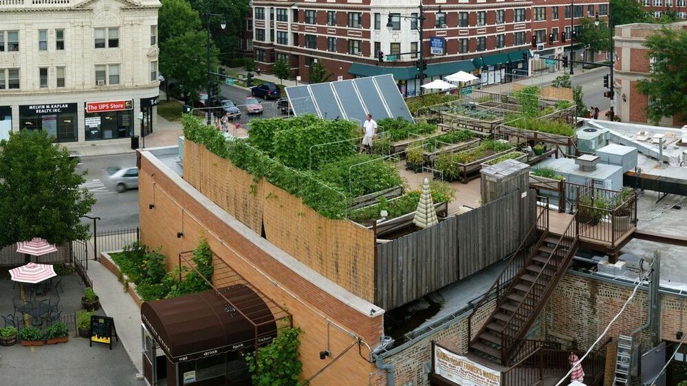 Uncommon Ground, a certified green restaurant in Chicago, hosts an organic farm on its rooftop.