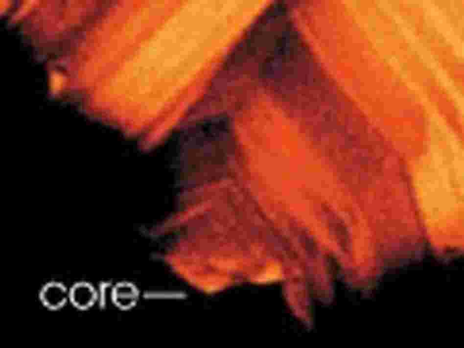 The core of a  zircon.