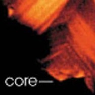 The core of a  zircon.